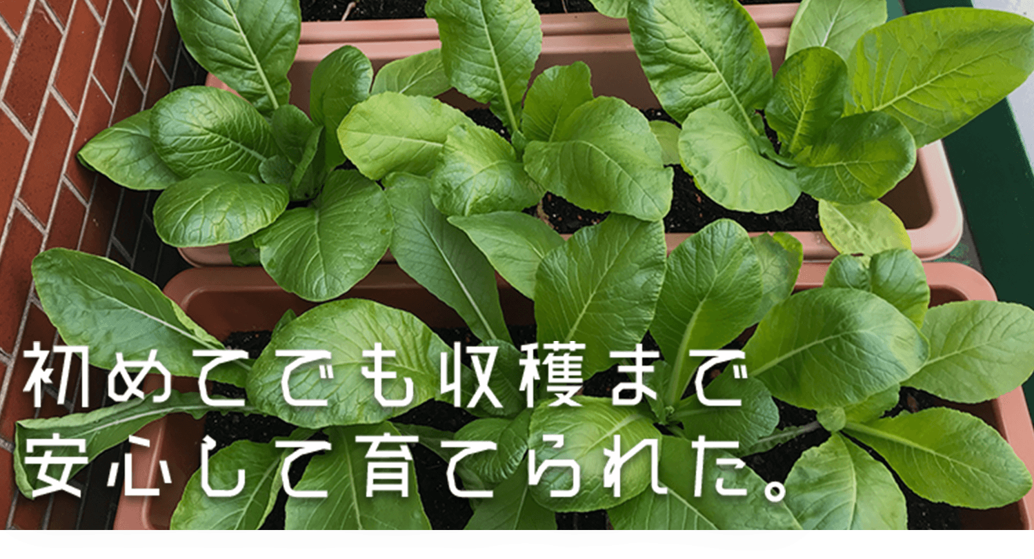 苦手な科目のドリルに継続して取り組めた。