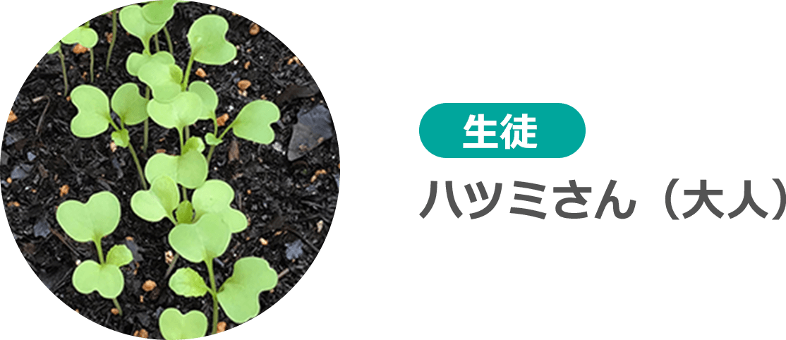 生徒 ハツミさん(大人)